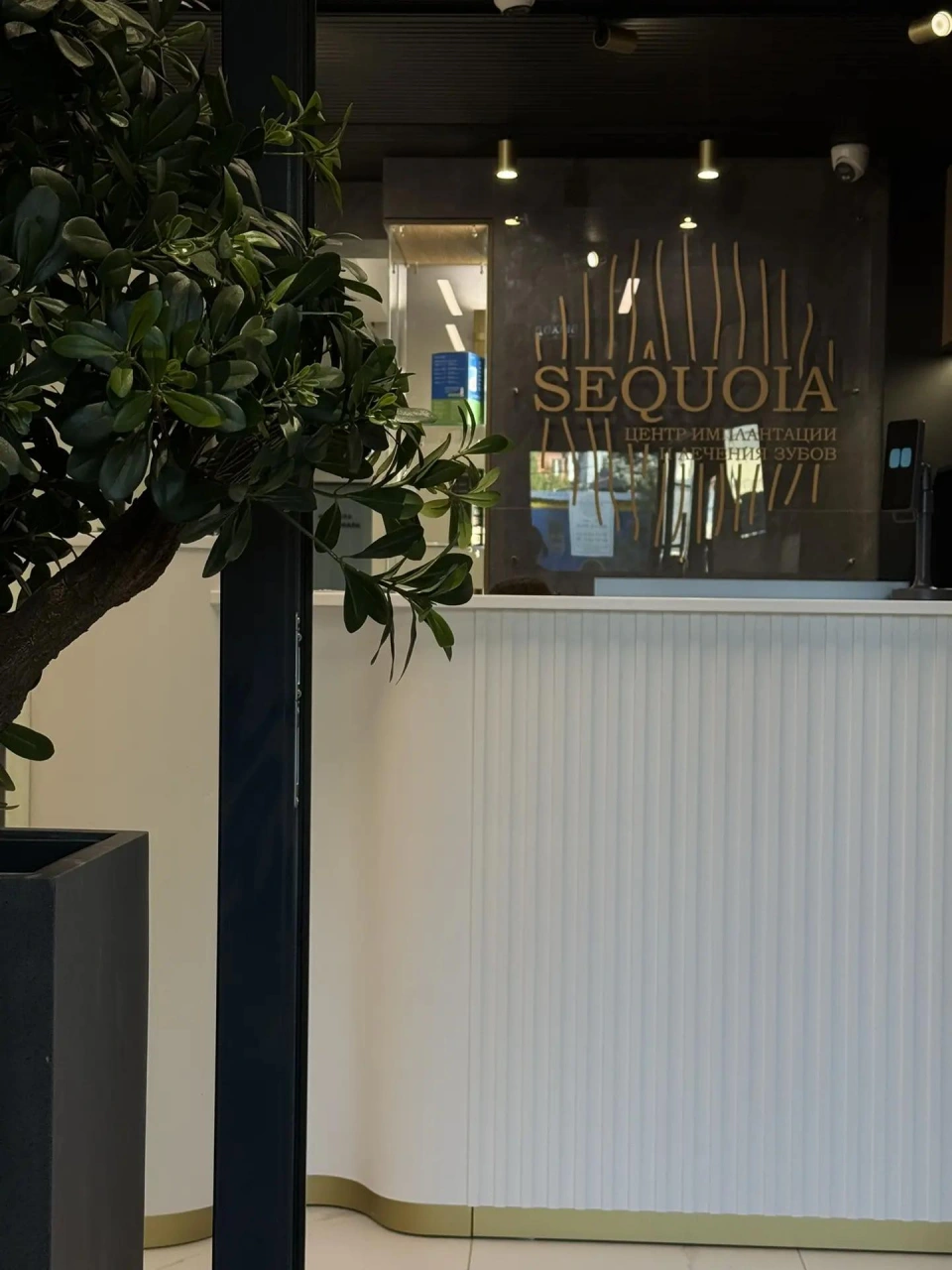Интерьер клиники SEQUOIA