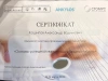 Сертификат Кашипов Александр Вадимович №6